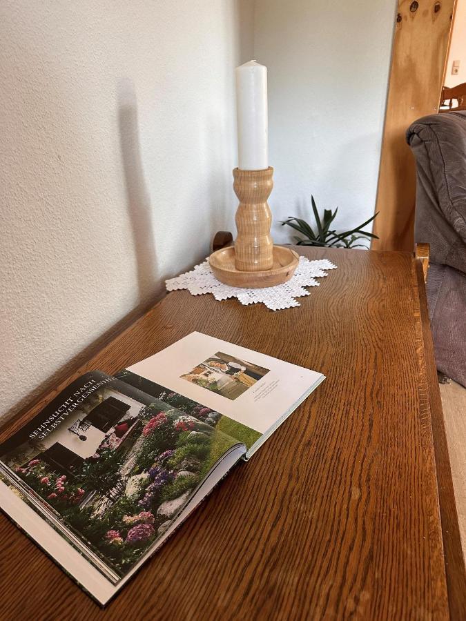 Hof Baden, Ferienwohnung シュネーヴァーディンゲン エクステリア 写真