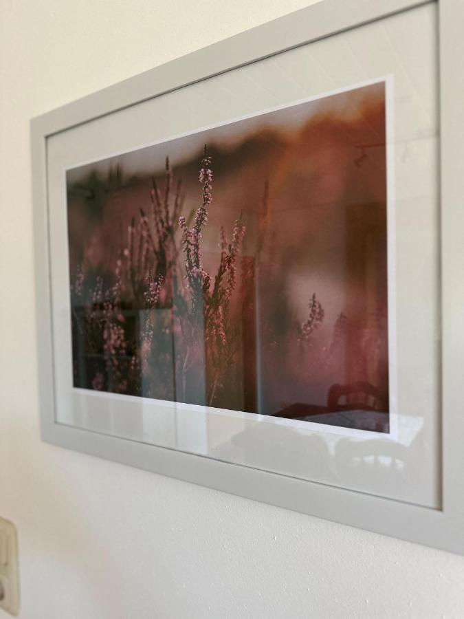 Hof Baden, Ferienwohnung シュネーヴァーディンゲン エクステリア 写真